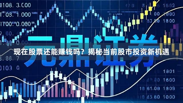 现在股票还能赚钱吗？揭秘当前股市投资新机遇