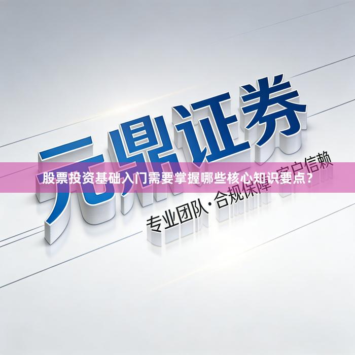 股票投资基础入门需要掌握哪些核心知识要点？