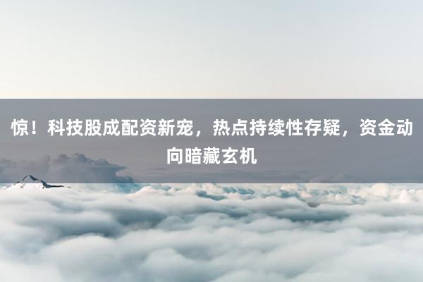惊！科技股成配资新宠，热点持续性存疑，资金动向暗藏玄机
