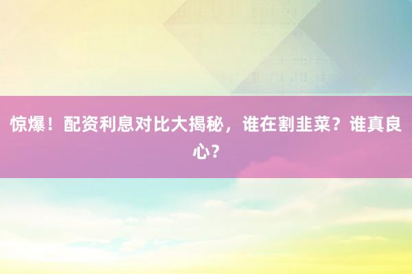 惊爆！配资利息对比大揭秘，谁在割韭菜？谁真良心？