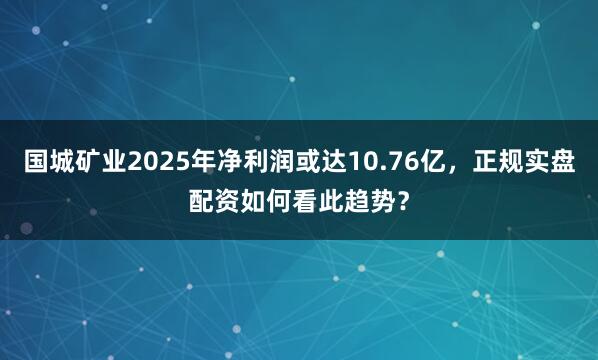 国城矿业2025年净利润或达10.76亿，正规实盘配资如何看此趋势？